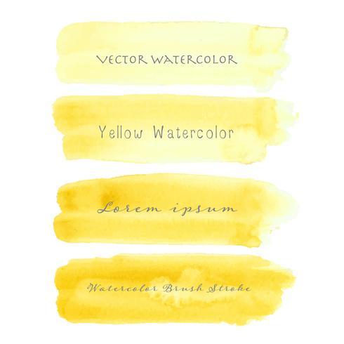 Yellow brush stroke watercolor on white background. Vector illustration.