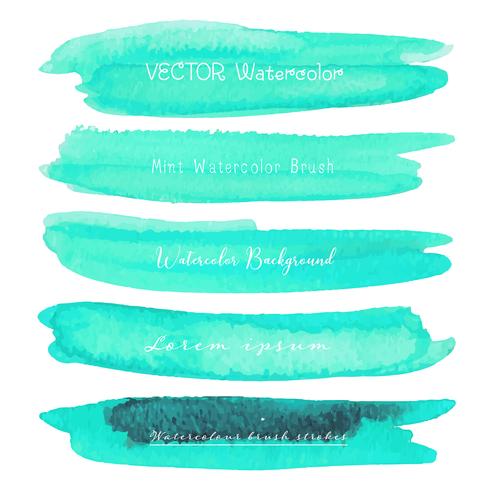 Set of mint watercolor on white background, Brush stroke watercolor, Vector illustration.