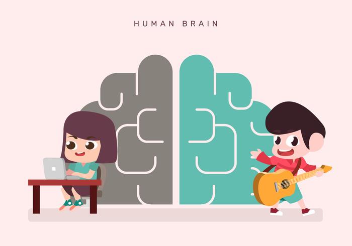 Cute Kids Character On Human Brain Hemispheres Vector Illustration