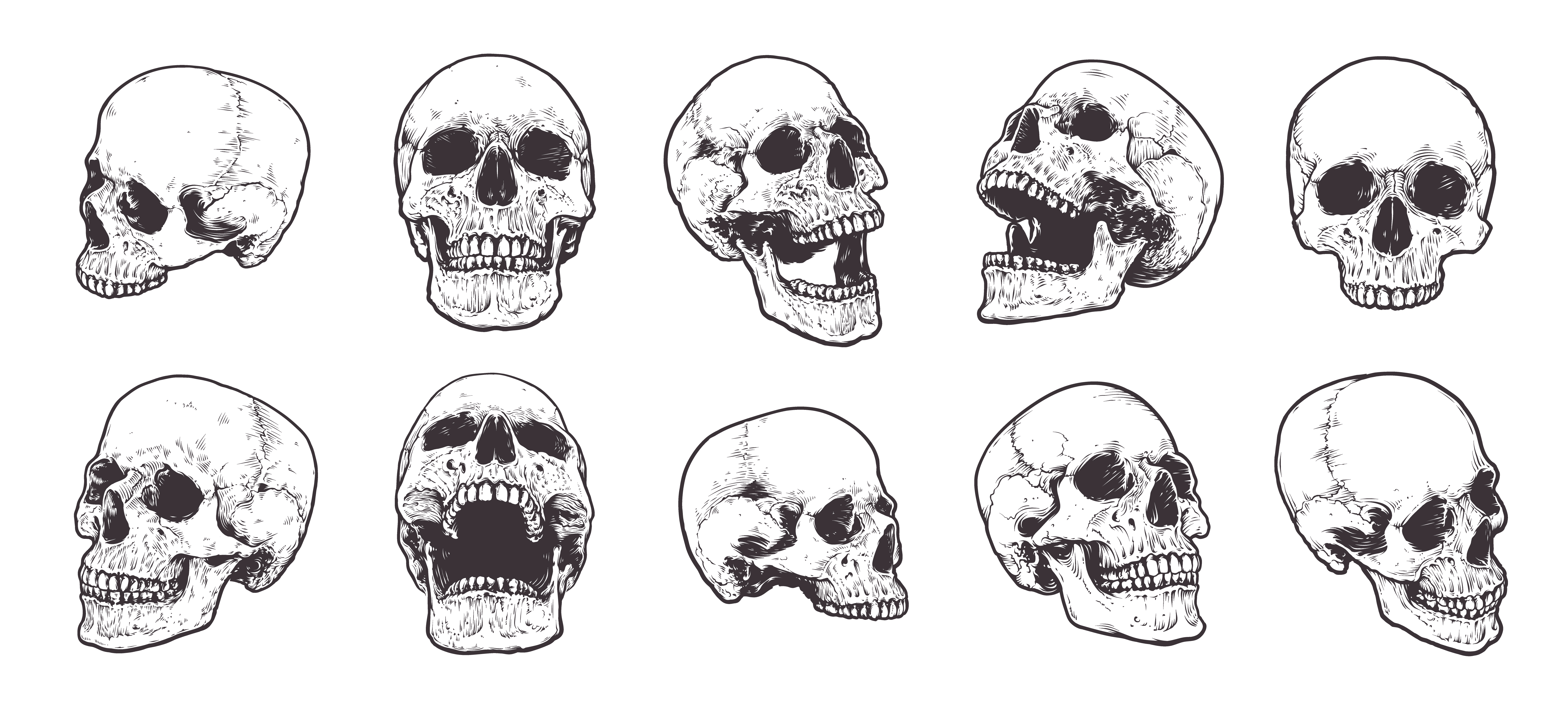 Skull outline - blindbinger