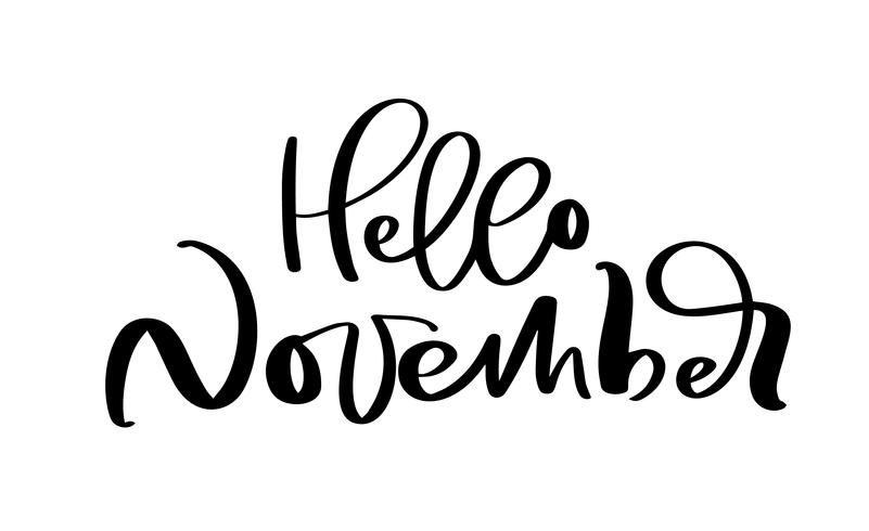 Hola noviembre Vector letras de tinta. Manuscrito negro sobre palabra blanca. Estilo de caligrafía moderna. Pluma de pincel