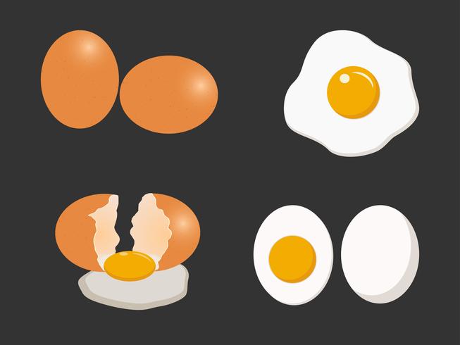 Egg vector set isolated on white background - Vector illustration