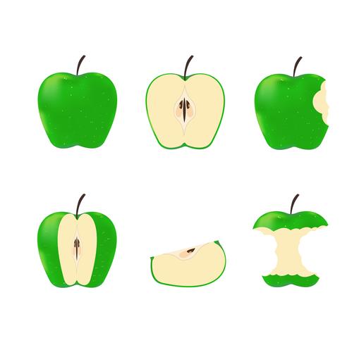 Vector illustration of set green ripe apples isolated on white background