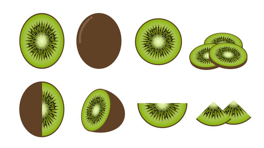 Set of fresh kiwi fruit isolated on white background - Vector illustration