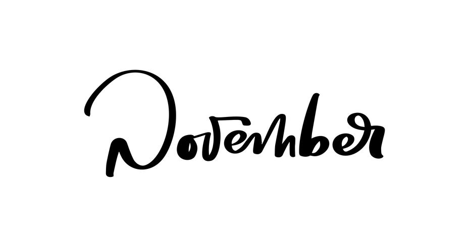 November Vector ink lettering. Handwriting black on white word. Modern calligraphy style. Brush pen