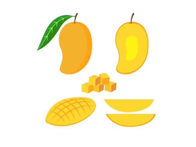 Vector illustration of set fresh mango isolated on white background