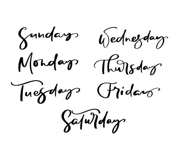 Dibujado a mano letras decorativas de los días de la semana con diferentes letras en aislados sobre fondo blanco para el calendario, planificador, diario, decoración, etiqueta, cartel vector