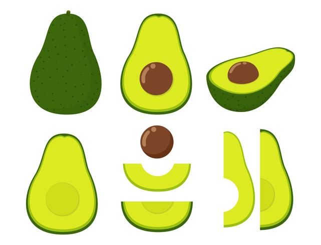 Ilustración vectorial de conjunto aguacate fresco aislado sobre fondo blanco vector