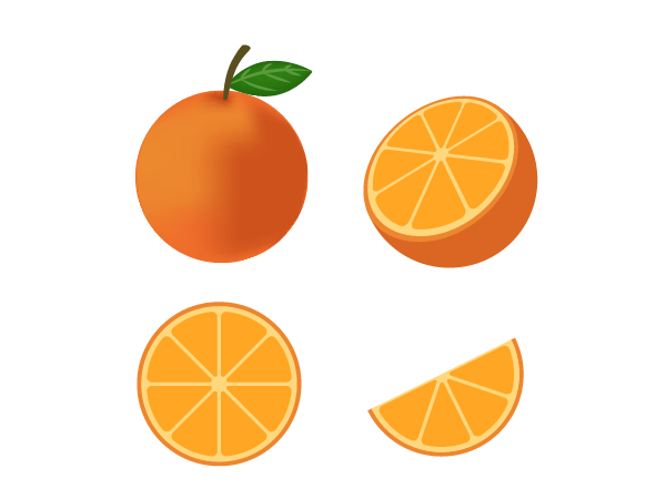 Download Fresh orange fruit vector isolated set on white background ...
