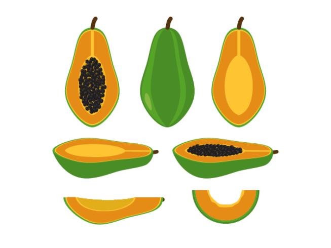 Set of papaya isolated on white background - Vector illustration