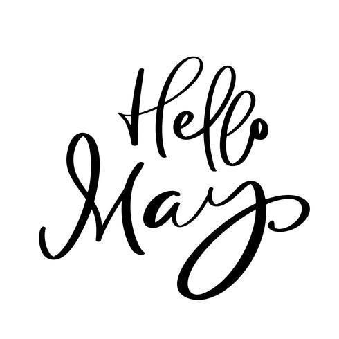 Hello May hand drawn calligraphy text and brush pen lettering. design for holiday greeting card and invitation of seasonal spring holiday calendar vector