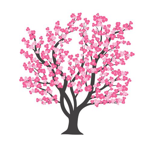 Árbol de cerezo en flor en ilustración vectorial vector