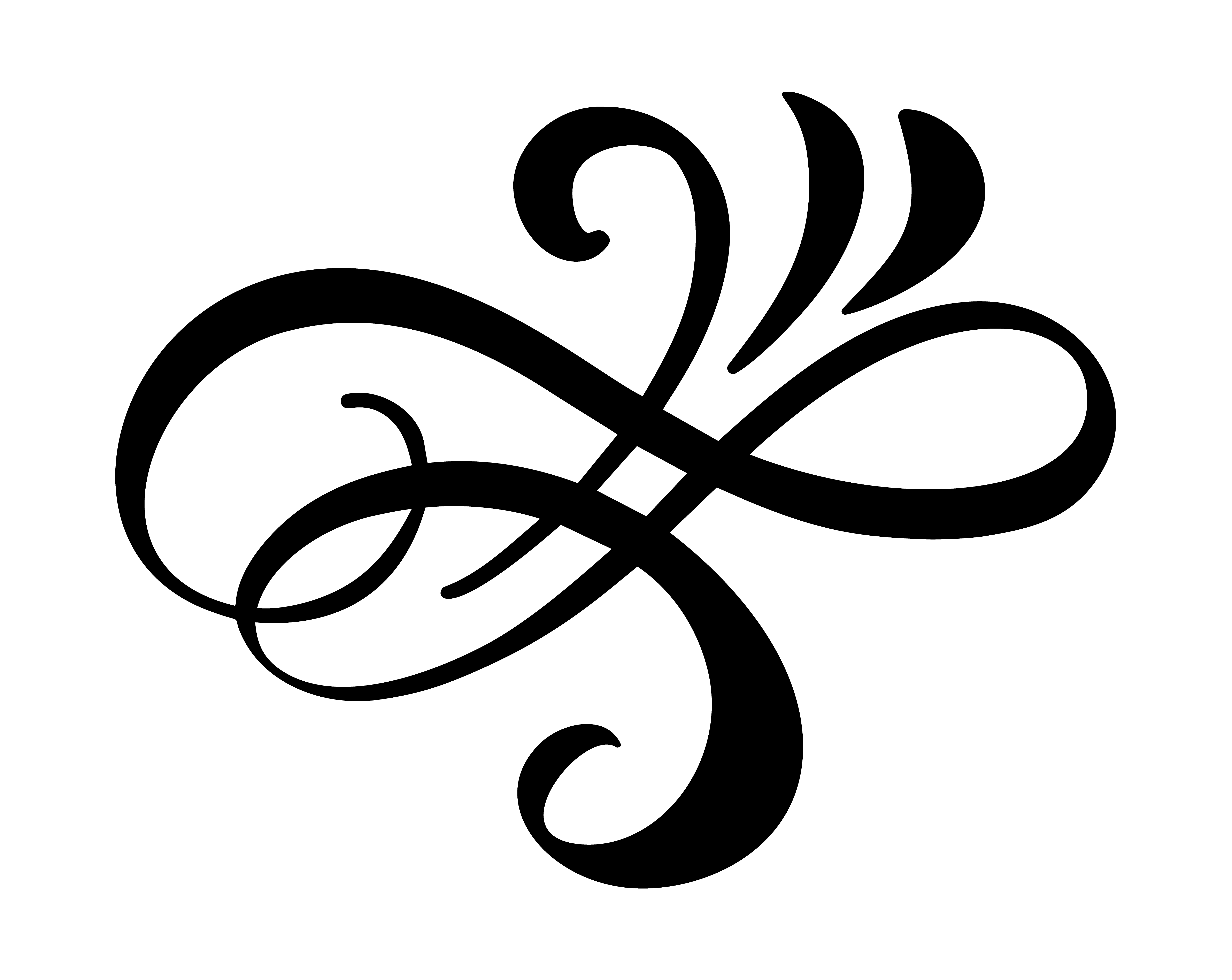 Vector floral calligraphy element flourish. Hand drawn divider for page ...