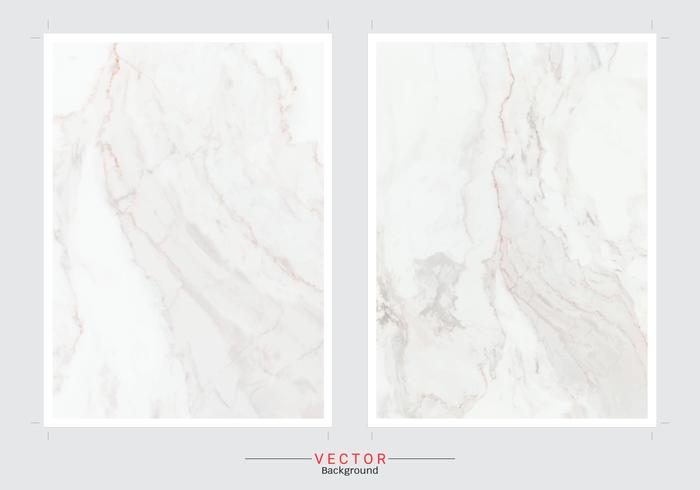 Marble texture background. vector