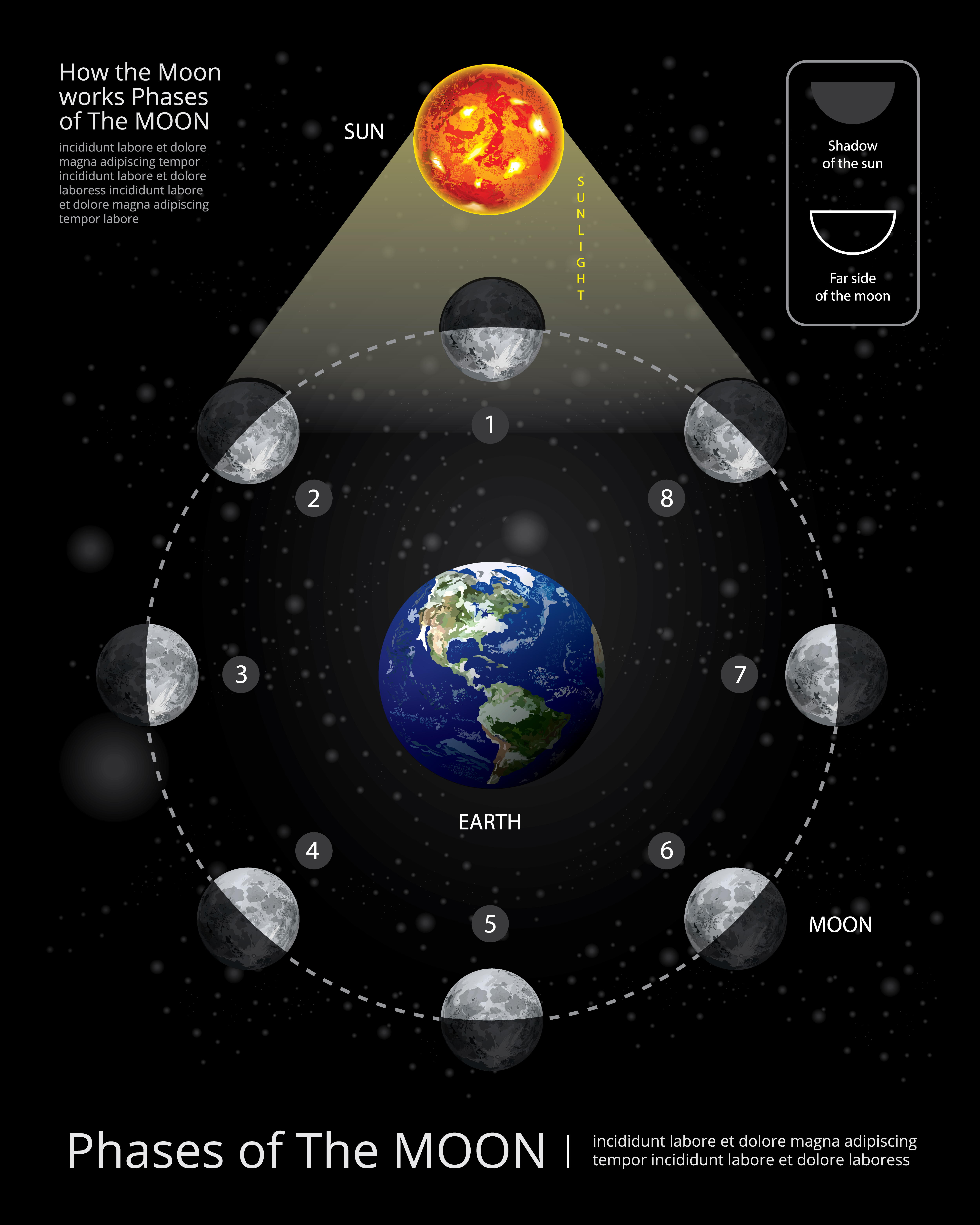 Movements Of The Moon Phases Realistic Vector Illustration 538243