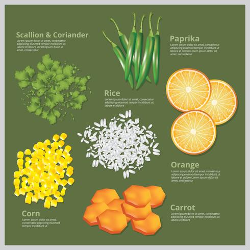 ilustración vectorial comida de ingrediente vector