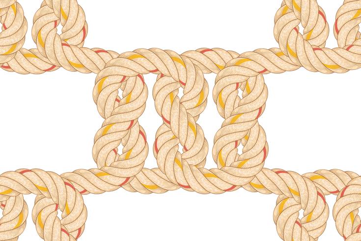 Seamless pattern with rope bending. vector