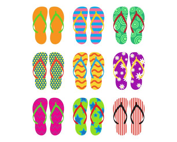 Collection of colorful flip flops set on white background - Vector illustration