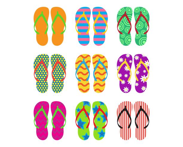 Collection of colorful flip flops set on white background - Vector ...