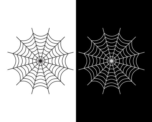 Araña web vector icono blanco y negro color sobre fondo blanco y negro - ilustración vectorial