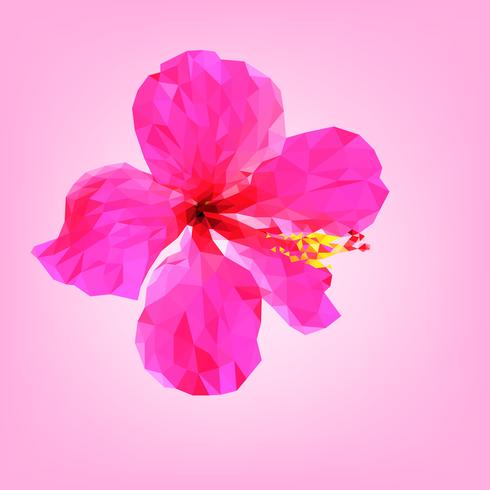 Pink hibiscus flower polygon. vector