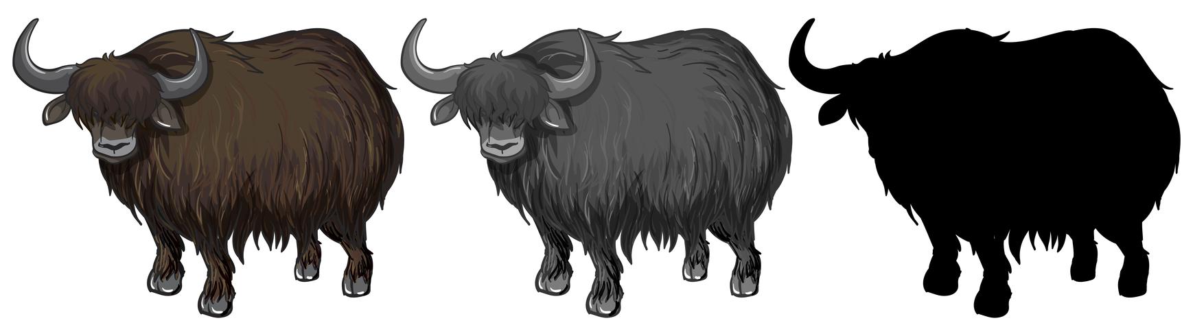 Set of yak character vector