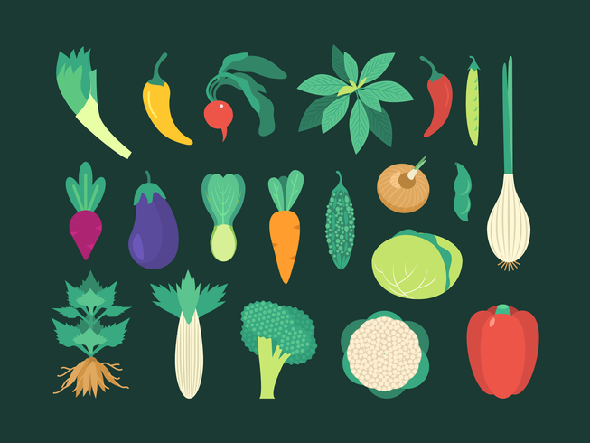 Colorido conjunto de vegetales vector