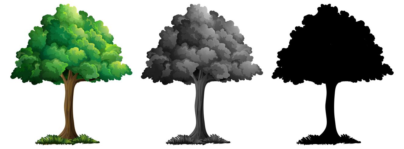 Conjunto de arbol aislado vector