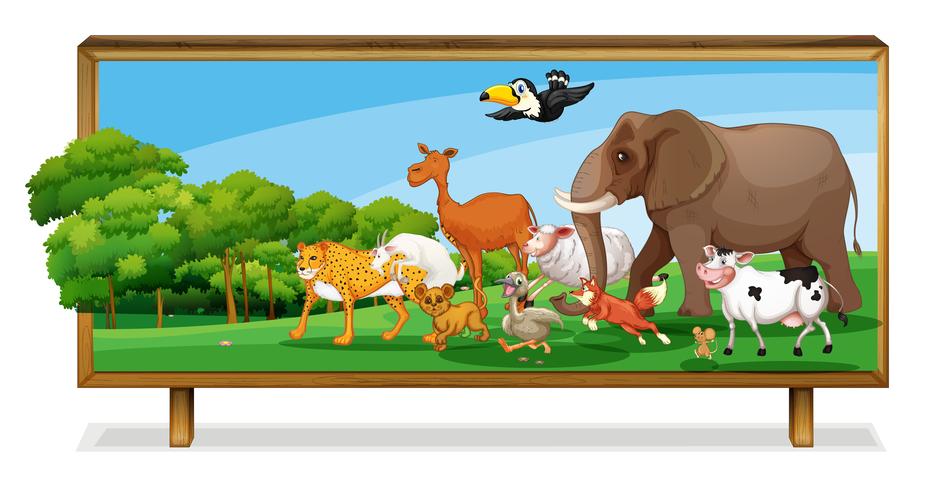 Animals in jungle on board vector