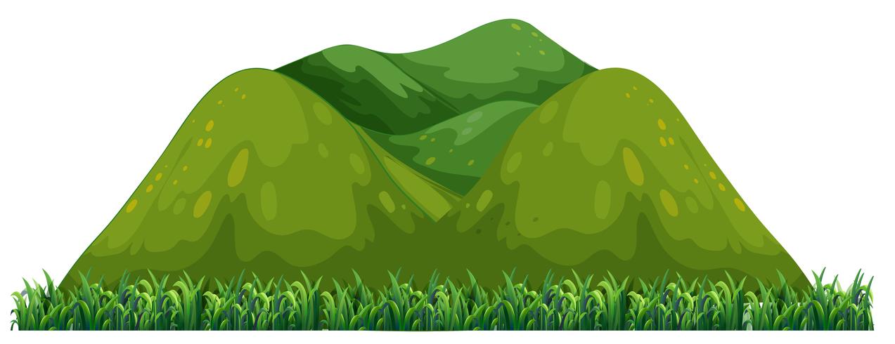 Isolated green mountain on white background vector