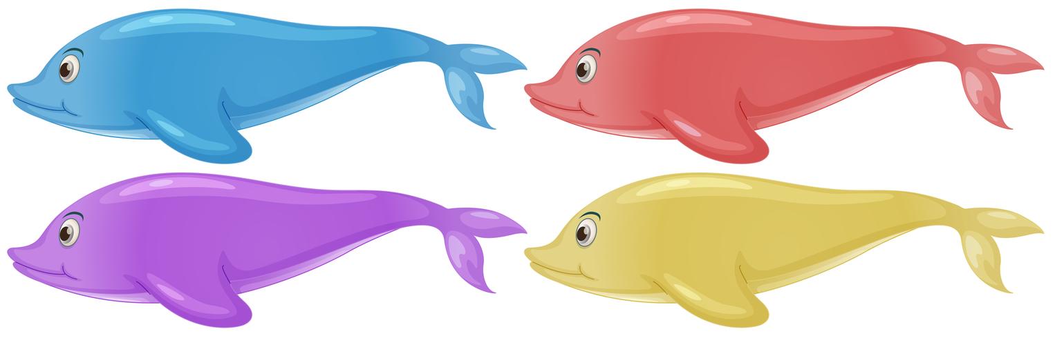 Cuatro coloridos delfines vector