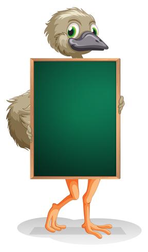 An ostrich holding an empty blackboard vector