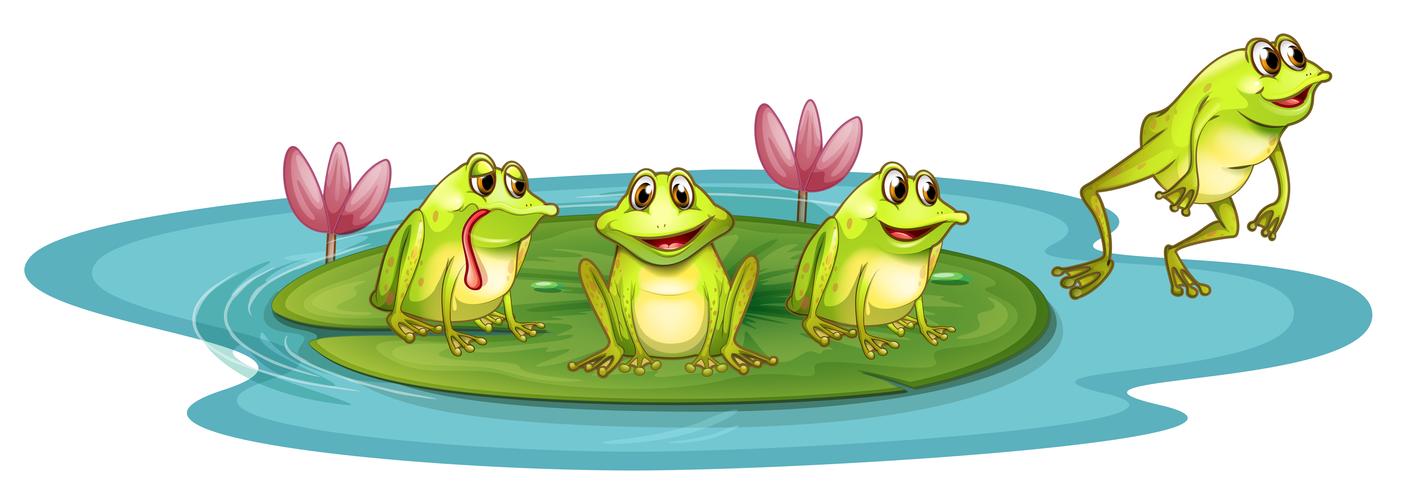 Frogs in the pond vector