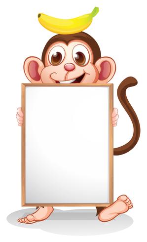 A monkey with a banana above his head holding an empty whiteboard vector