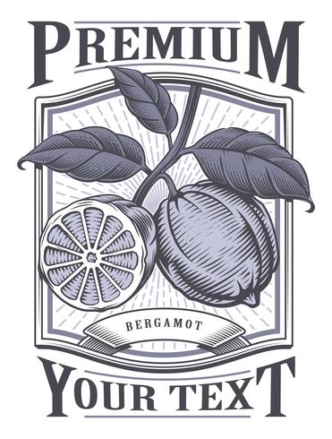 Bergamot vector vintage label