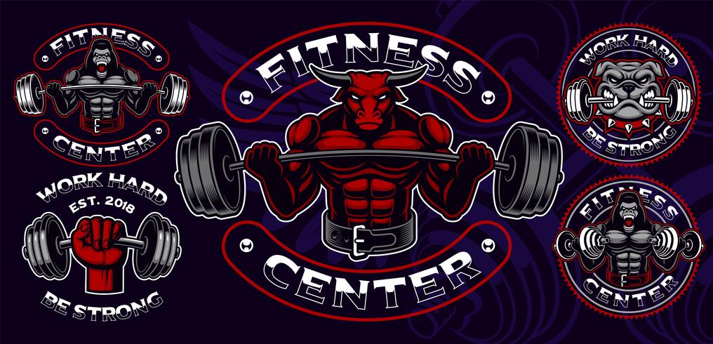 Set of colored badges, logos, shirt prints for gym theme. vector