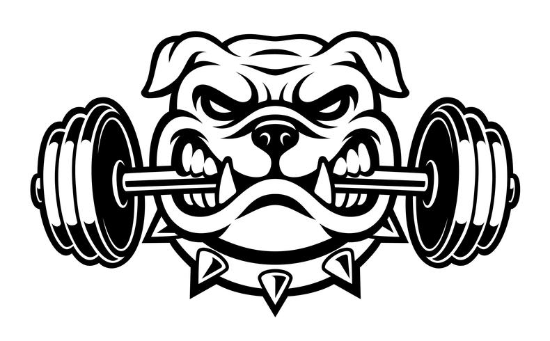 Black and white illustration of a bulldog with dumbbell vector