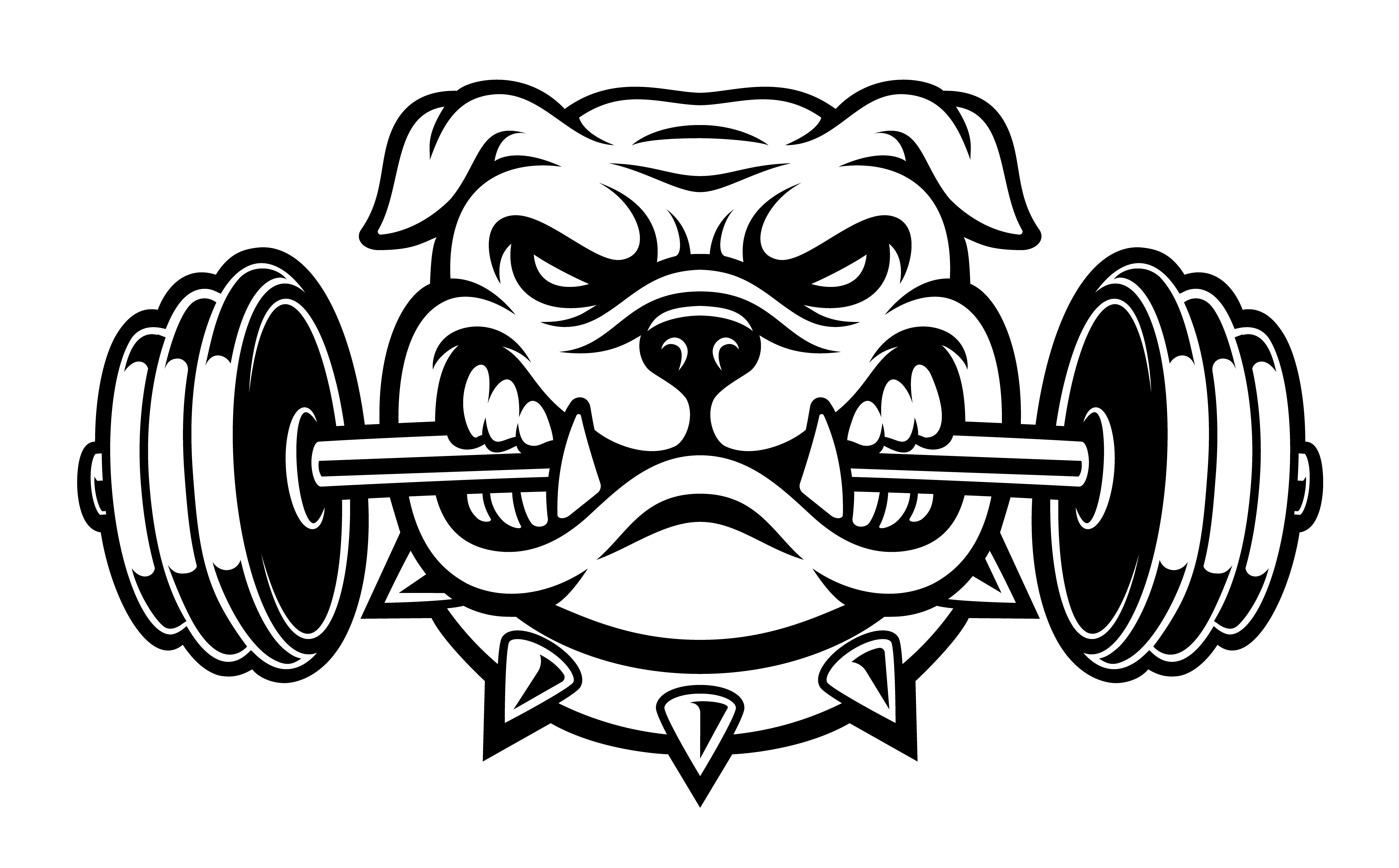 Black and white illustration of a bulldog with dumbbell 539384 Vector