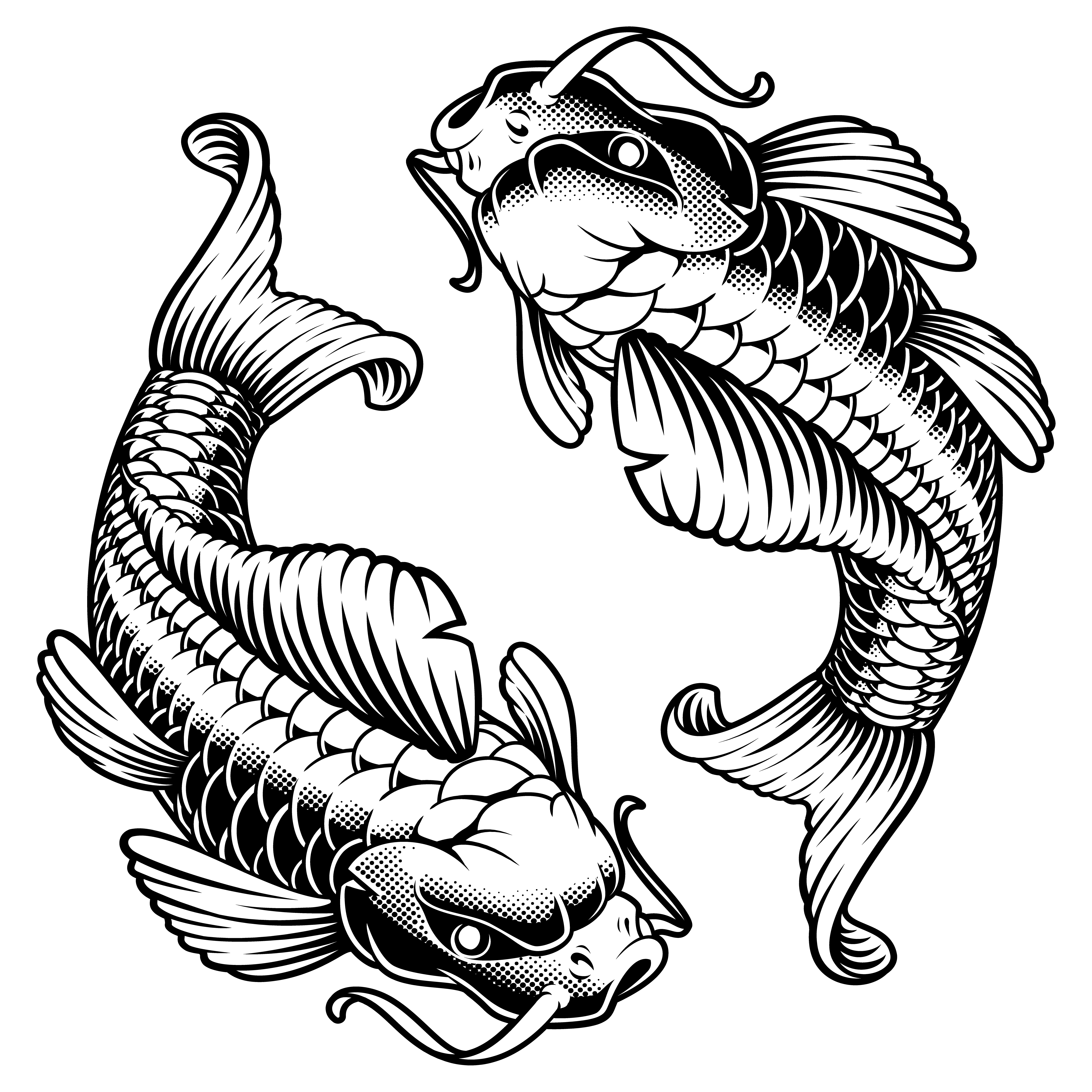 Download koi carp (monochrome version) - Download Free Vectors ...