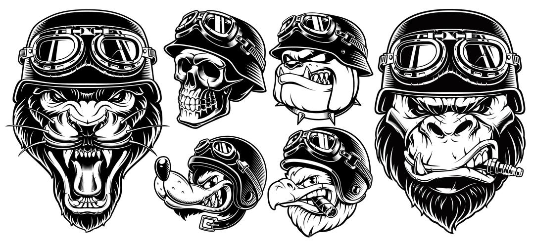 Set of animals bikers vector