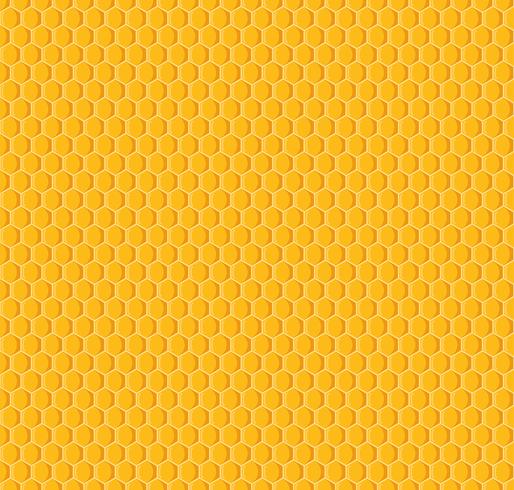 Vector of honeycomb seamless pattern background