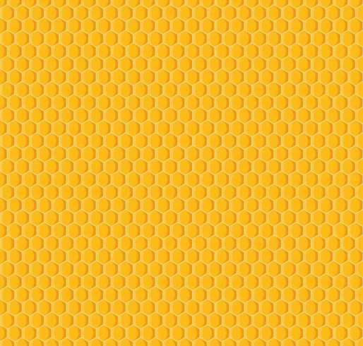 Vector of honeycomb seamless pattern background