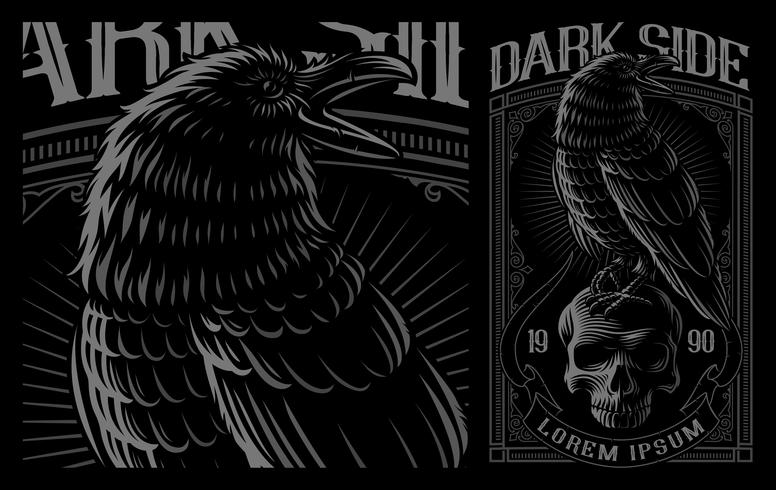 Black Raven on the skull. vector