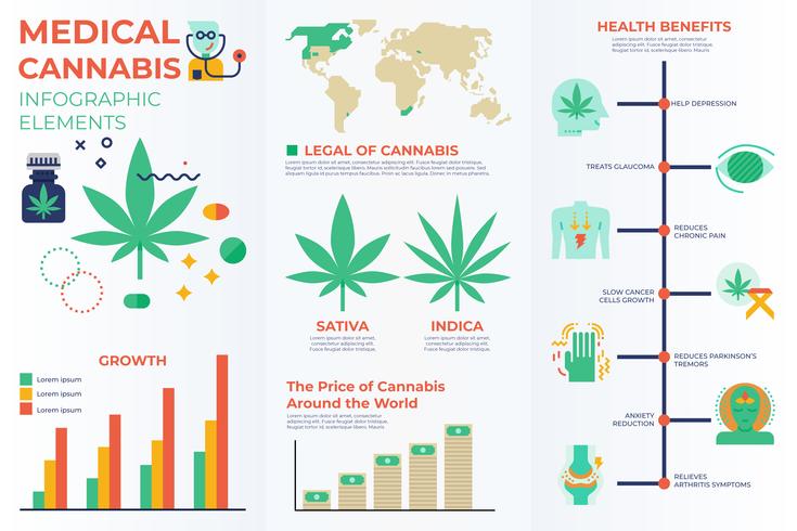 Elementos infográficos de cannabis medicinal. vector