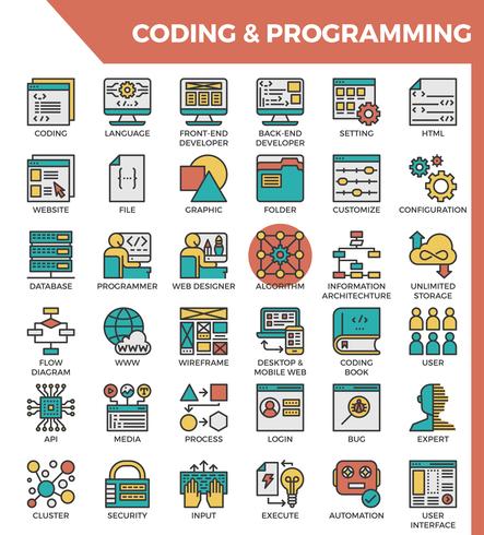 Coding & Programming vector