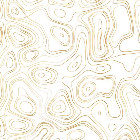 Abstract gold line waves design on white background - Vector Illustration