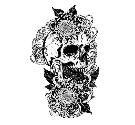 Calavera con tatuaje de crisantemo dibujo a mano. vector