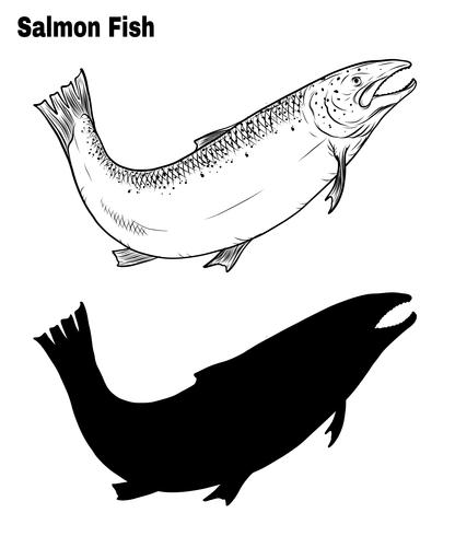 Fish vector by hand drawing.