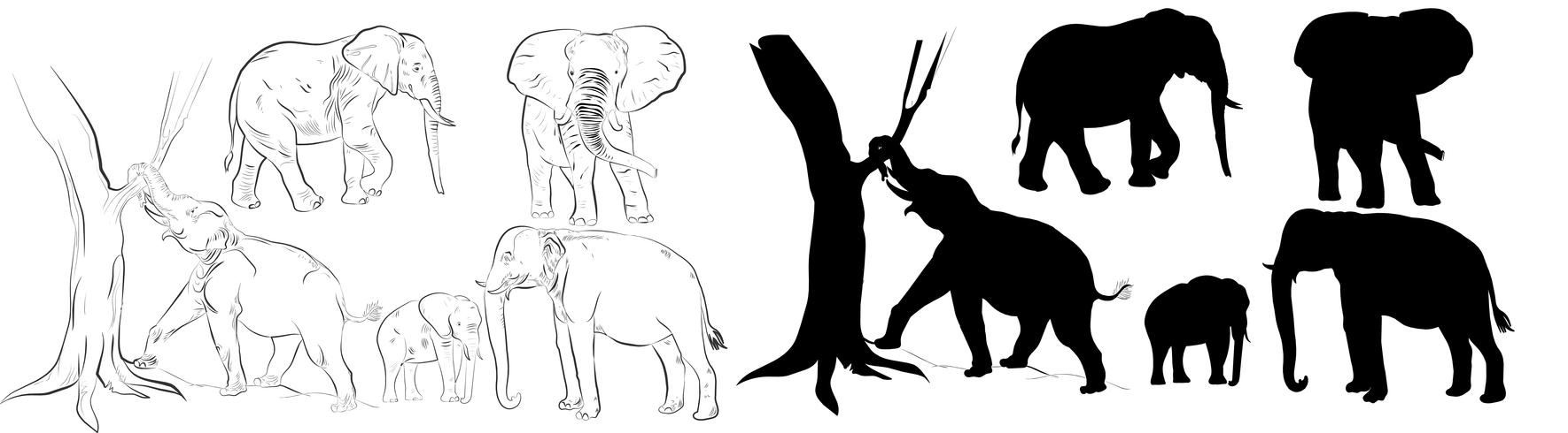 Elephant Silhouette vector