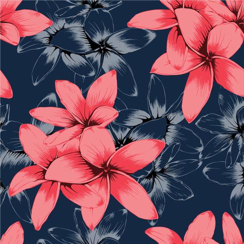 Seamless pattern pink pastel Frangipani flowers on dark blue background.Drawing line art.Vector illustration vector